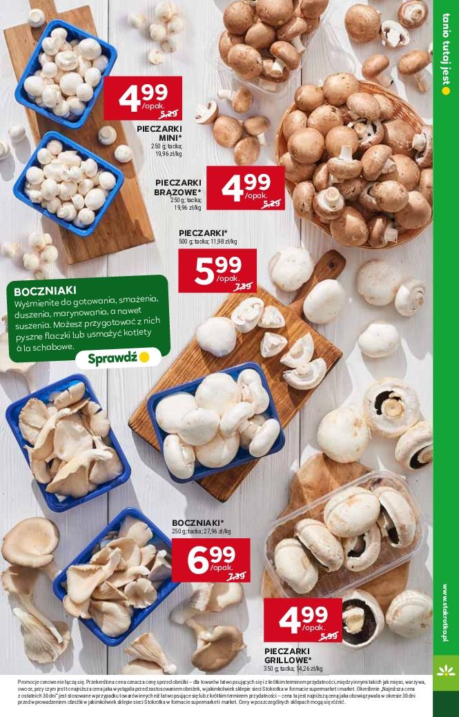 Gazetka promocyjna Stokrotka str. 7