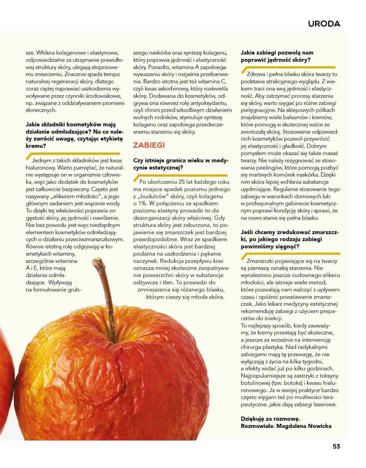 Gazetka promocyjna Stokrotka str. 53