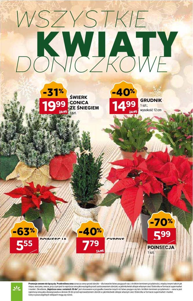 Gazetka promocyjna Stokrotka str. 10