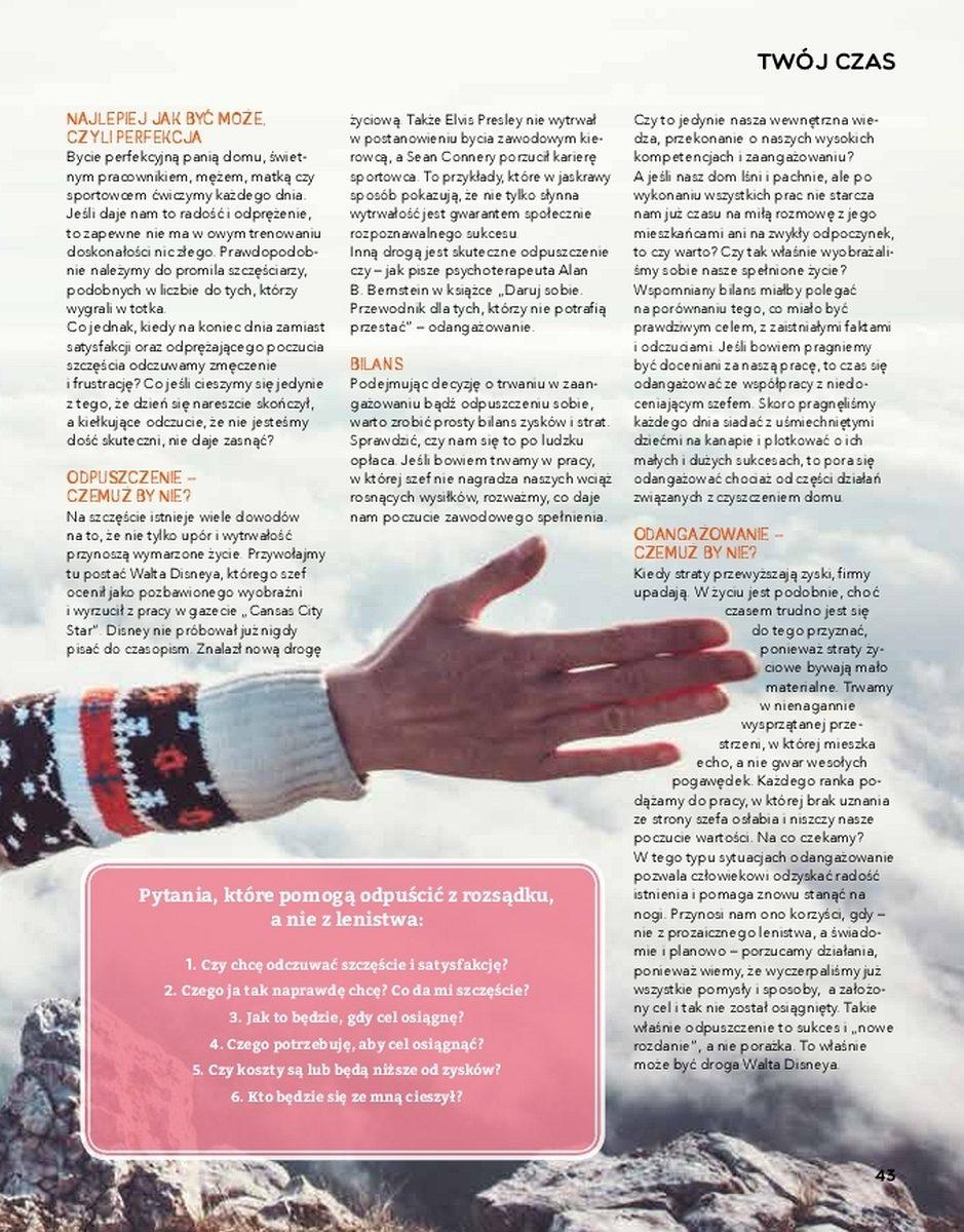 Gazetka promocyjna Stokrotka str. 43