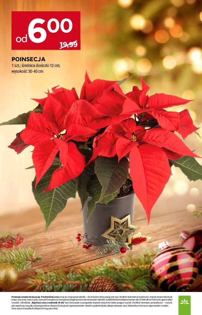 Gazetka promocyjna Stokrotka str. 49