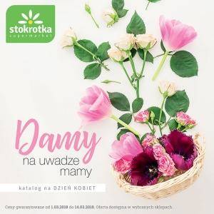 Katalog Stokrotka