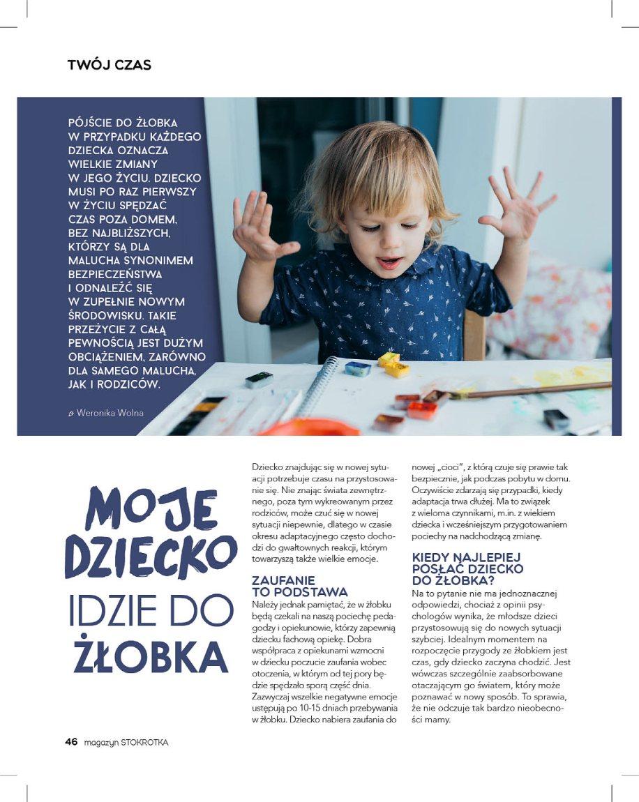 Gazetka promocyjna Stokrotka str. 46