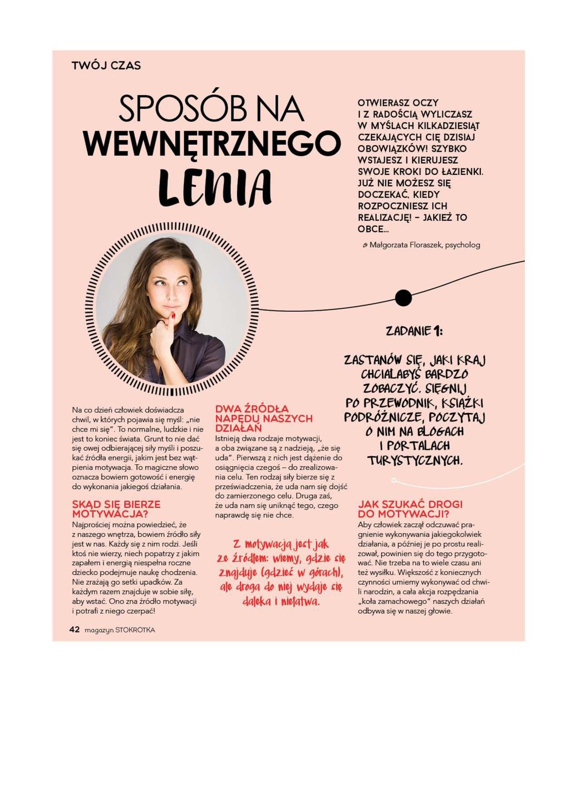 Gazetka promocyjna Stokrotka str. 42