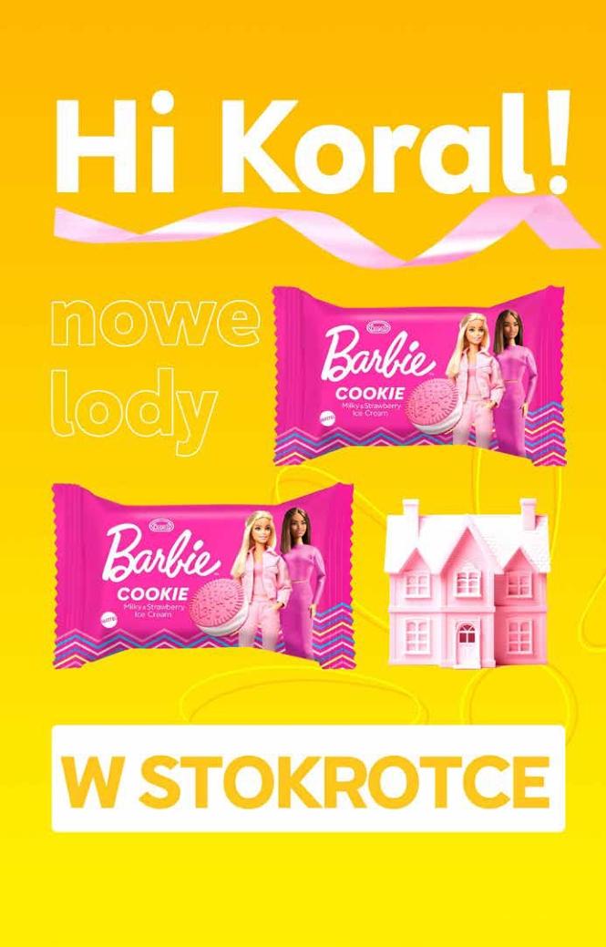 Gazetka promocyjna Stokrotka str. 22