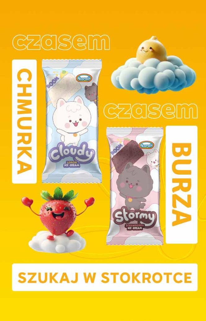 Gazetka promocyjna Stokrotka str. 23