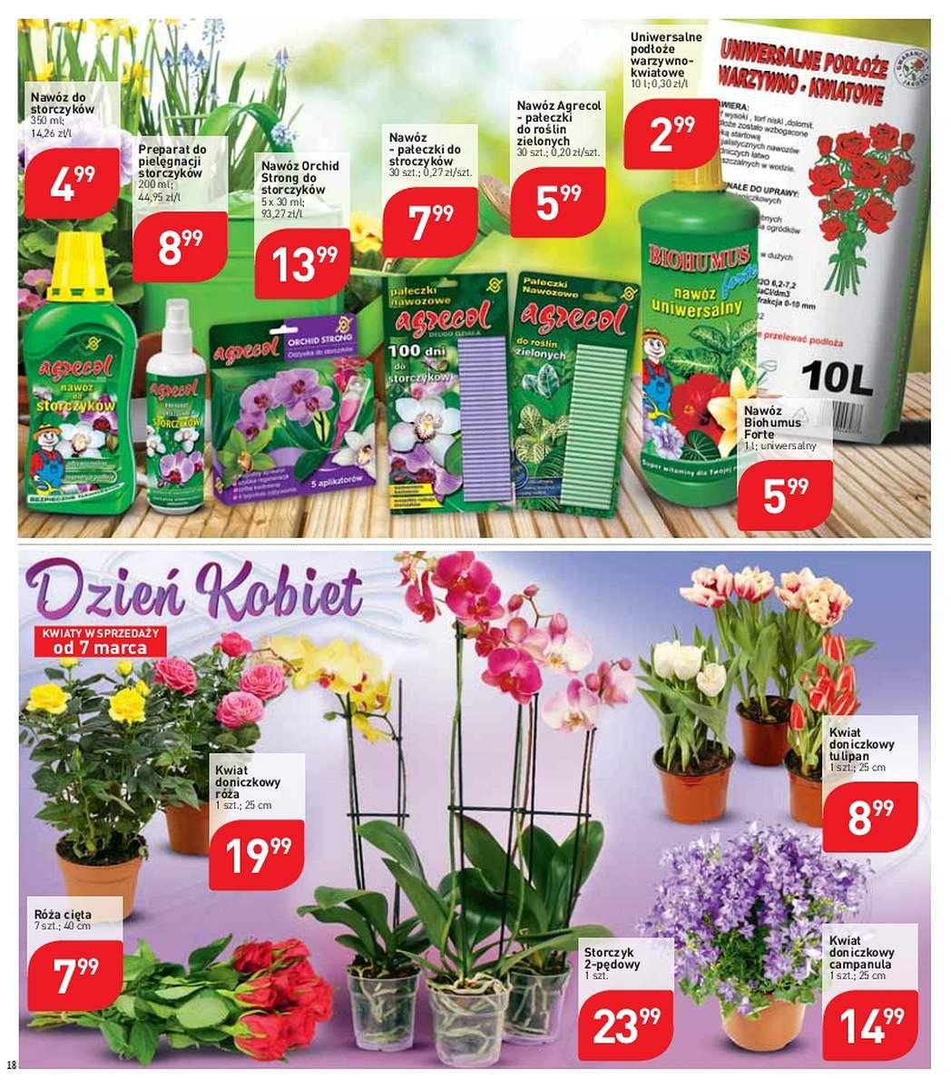 Gazetka promocyjna Stokrotka str. 18