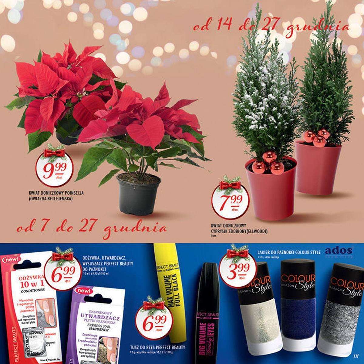 Gazetka promocyjna Stokrotka str. 111