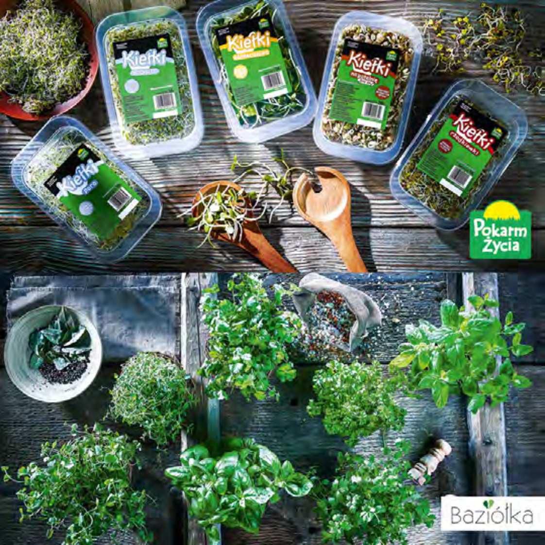 Gazetka promocyjna Stokrotka str. 24