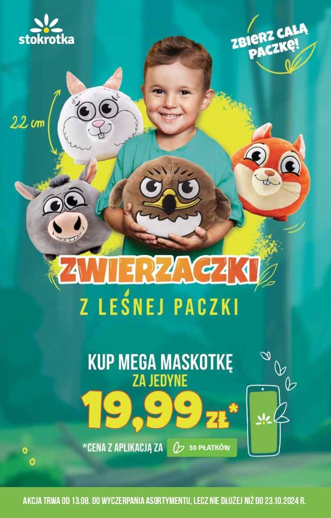 Gazetka promocyjna Stokrotka str. 16
