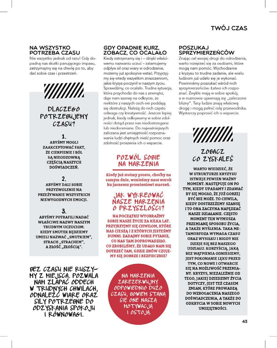 Gazetka promocyjna Stokrotka str. 43