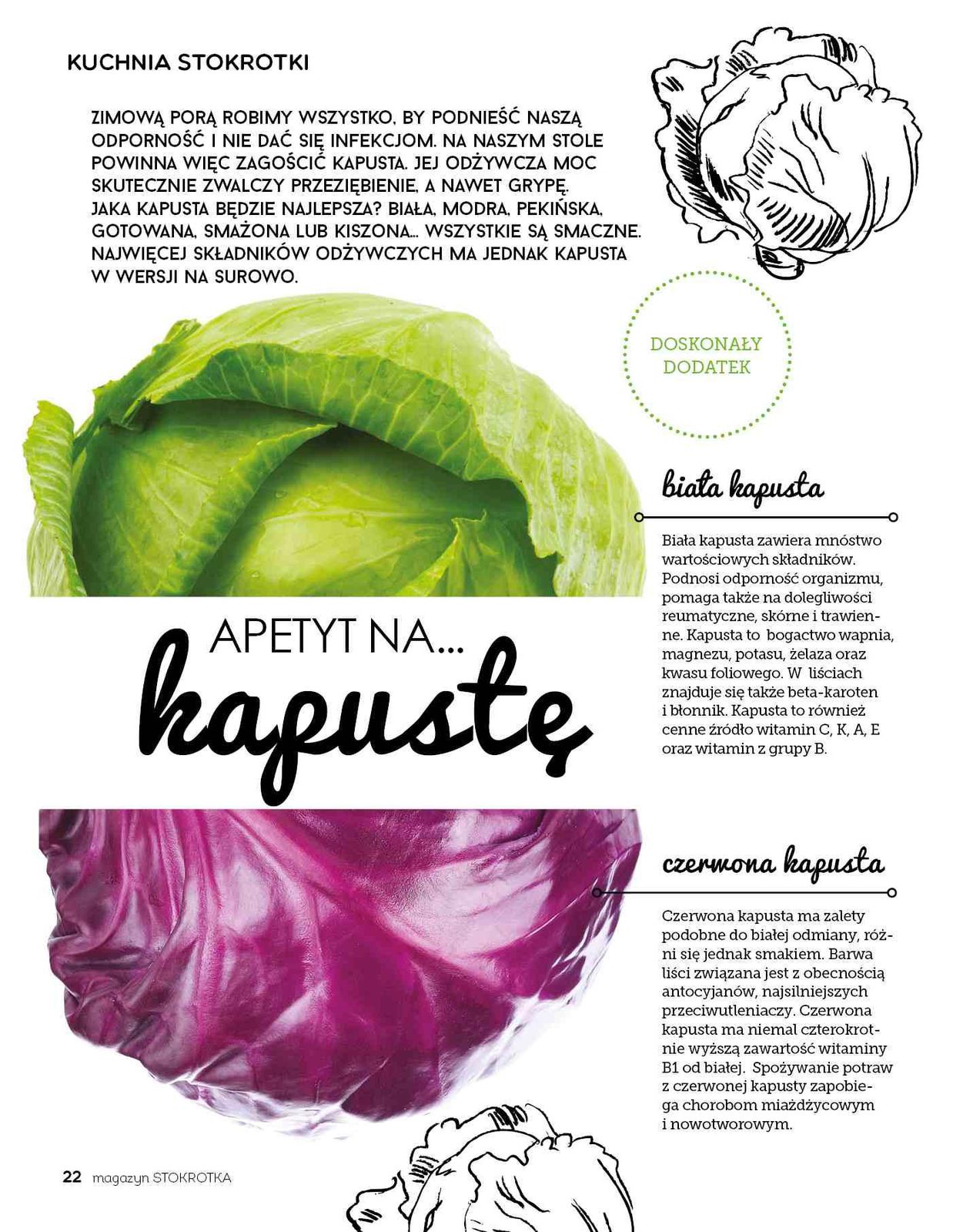 Gazetka promocyjna Stokrotka str. 22