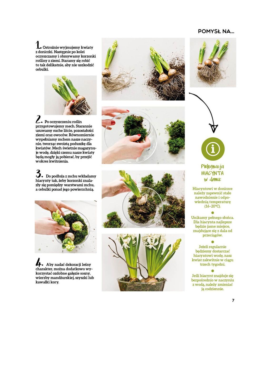 Gazetka promocyjna Stokrotka str. 7