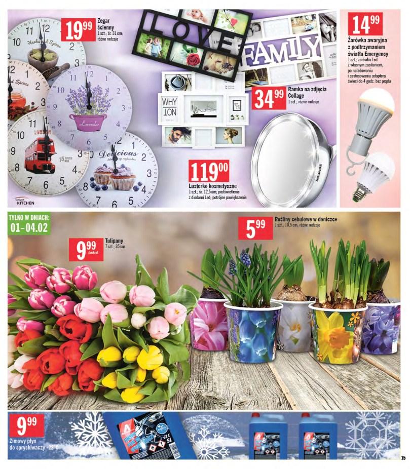 Gazetka promocyjna Stokrotka str. 15