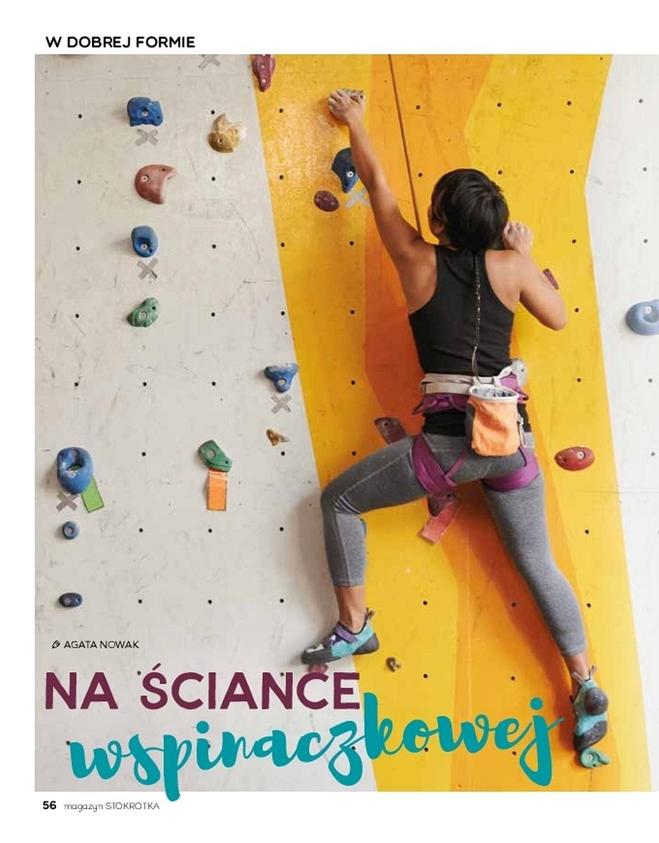 Gazetka promocyjna Stokrotka str. 56