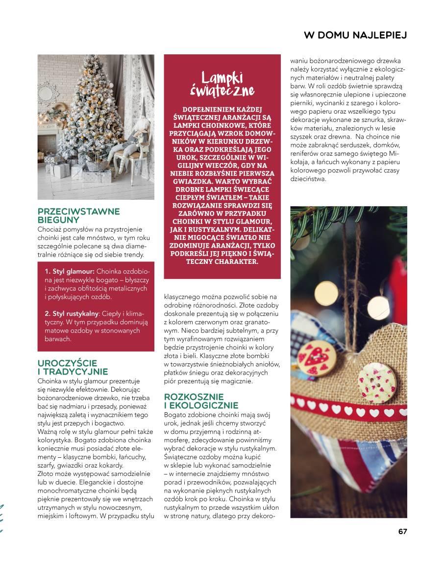 Gazetka promocyjna Stokrotka str. 67