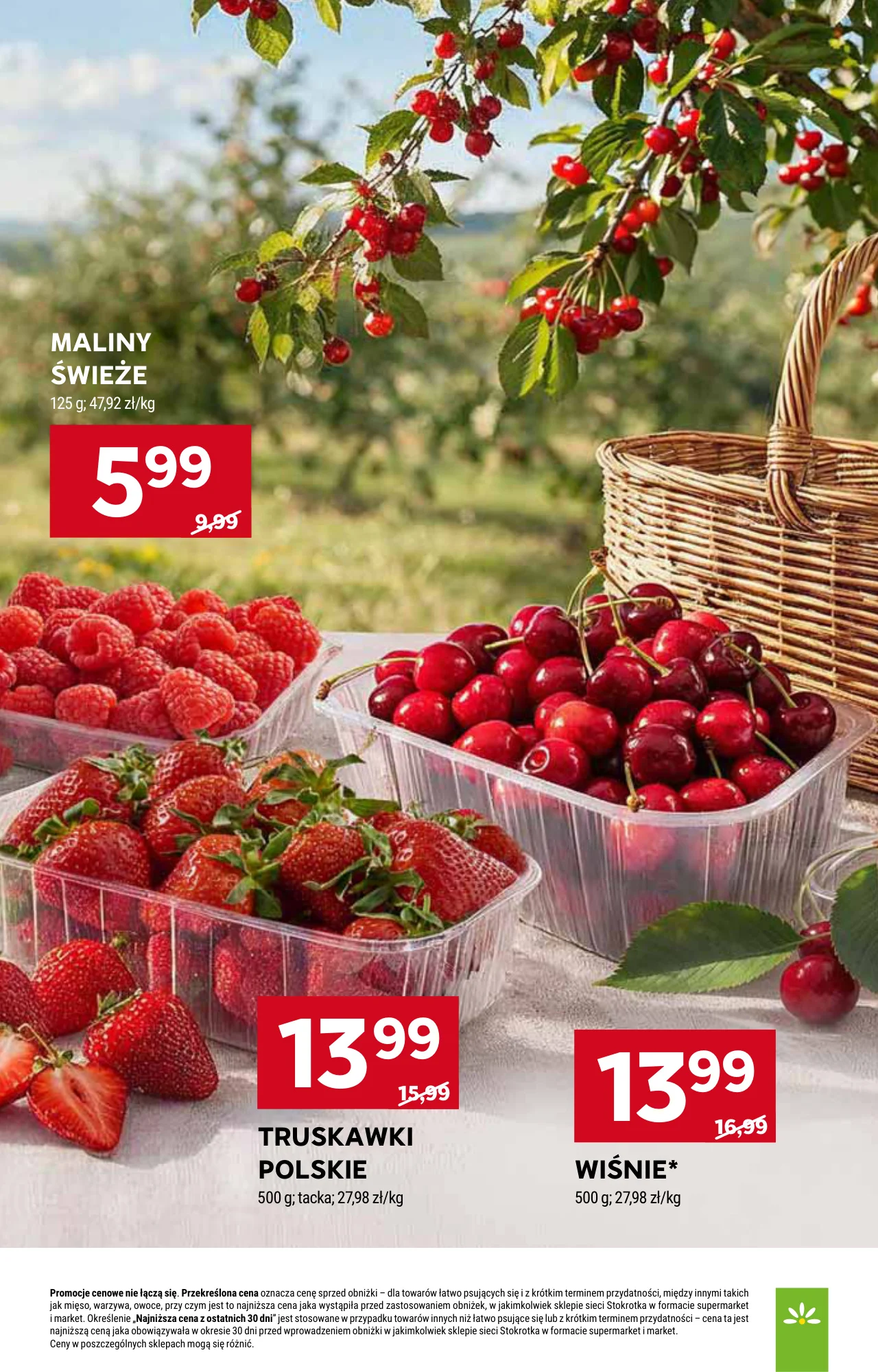 Gazetka promocyjna Stokrotka str. 17