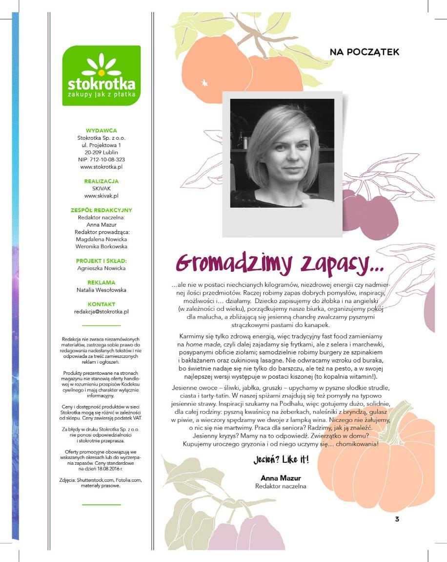 Gazetka promocyjna Stokrotka str. 3