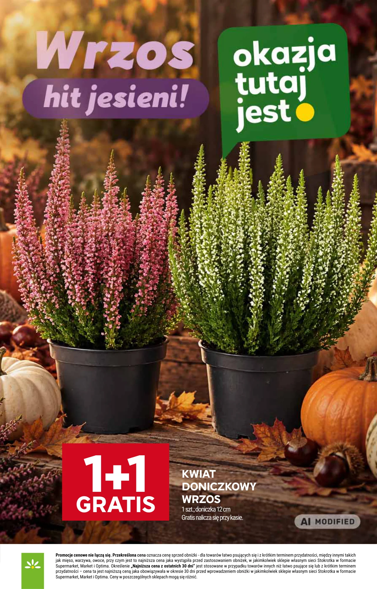 Gazetka promocyjna Stokrotka str. 37