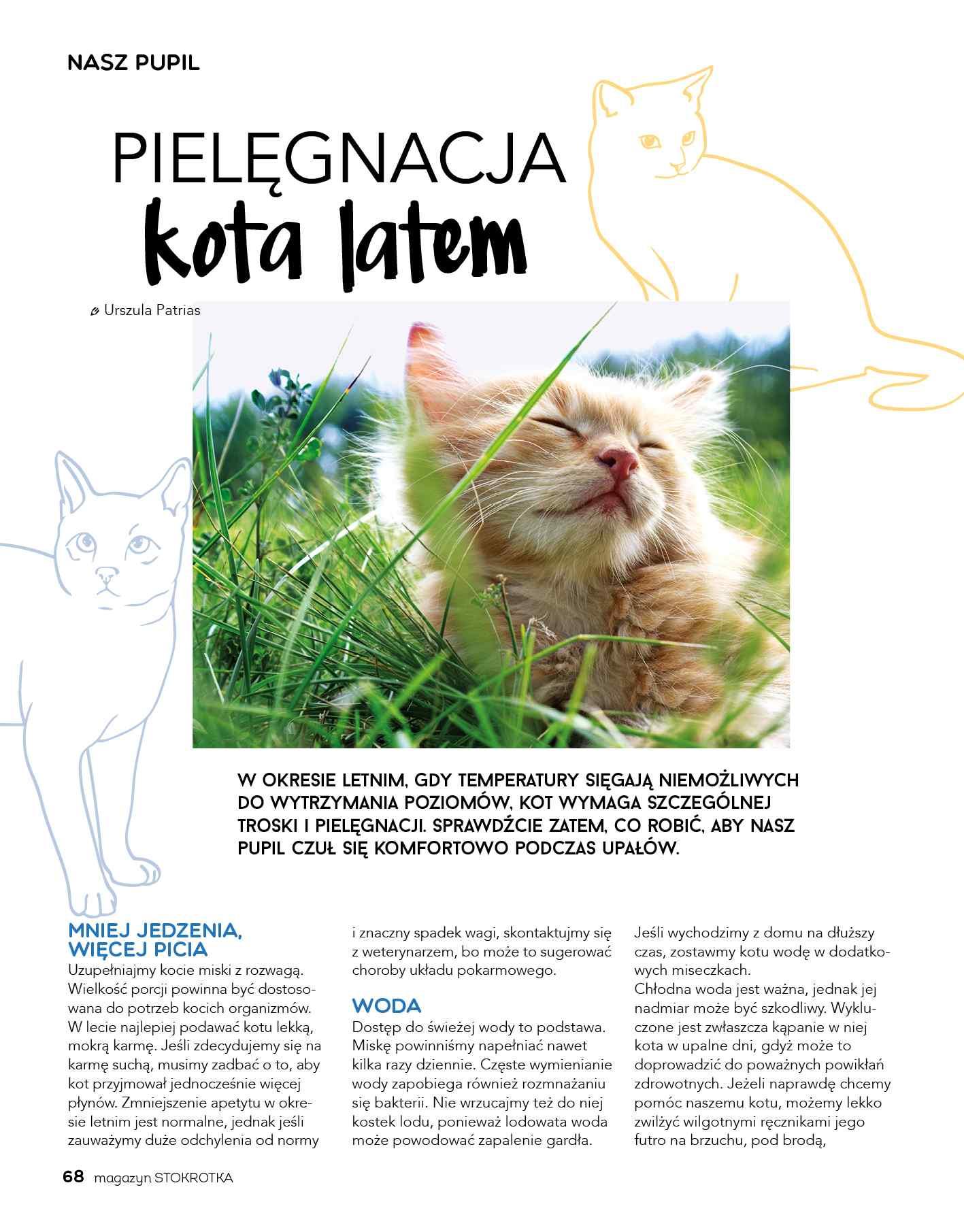 Gazetka promocyjna Stokrotka str. 68