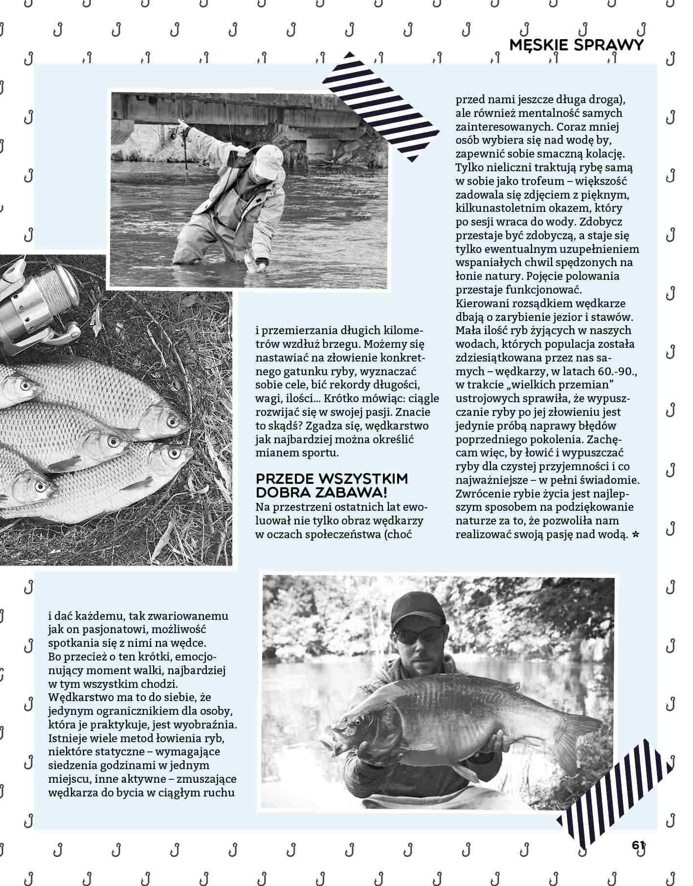 Gazetka promocyjna Stokrotka str. 61