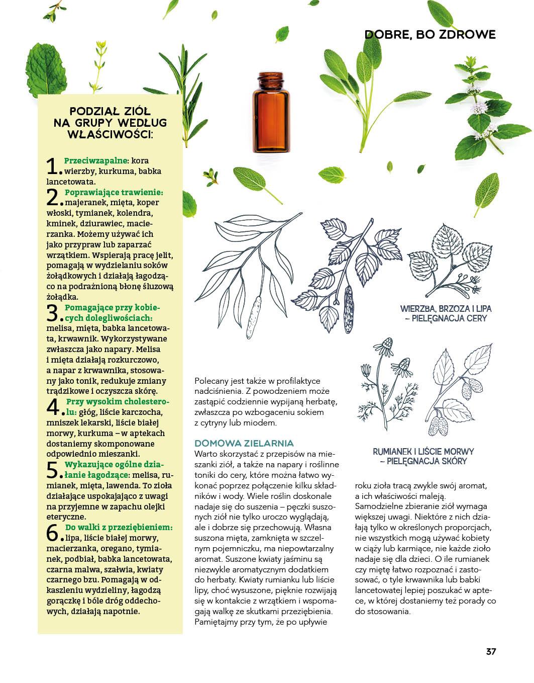 Gazetka promocyjna Stokrotka str. 37