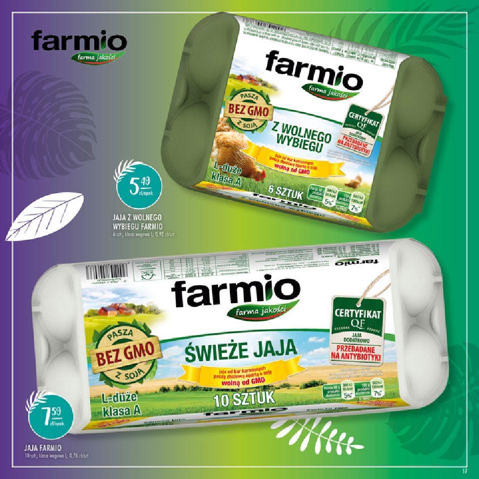 Gazetka promocyjna Stokrotka str. 17