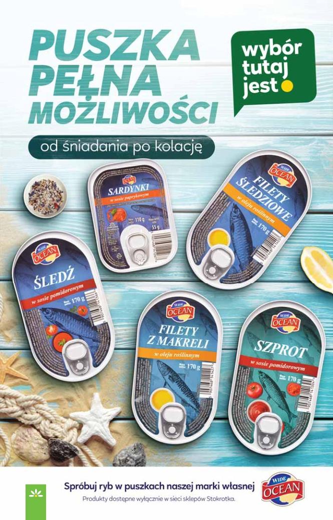 Gazetka promocyjna Stokrotka str. 31