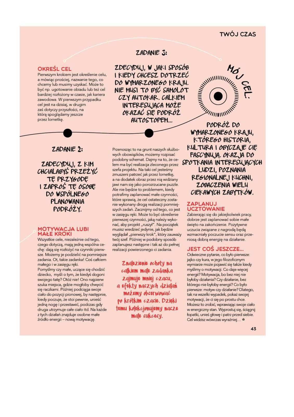 Gazetka promocyjna Stokrotka str. 43