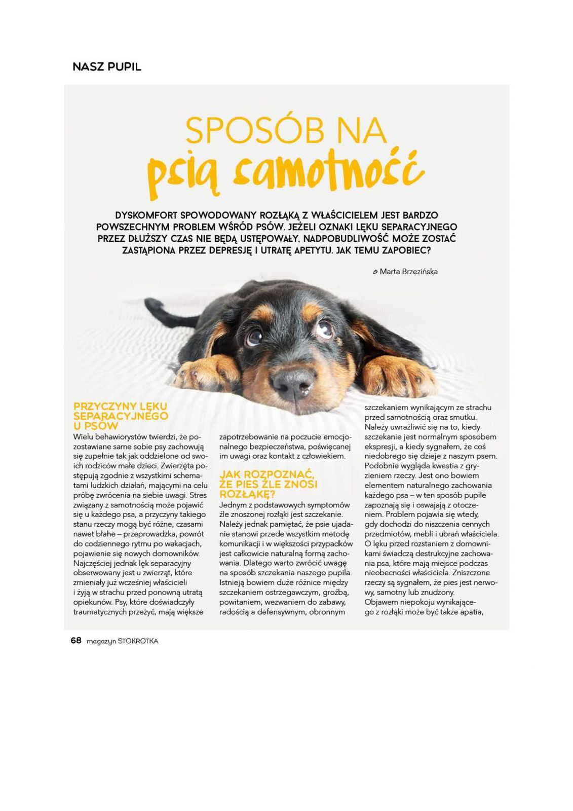 Gazetka promocyjna Stokrotka str. 68